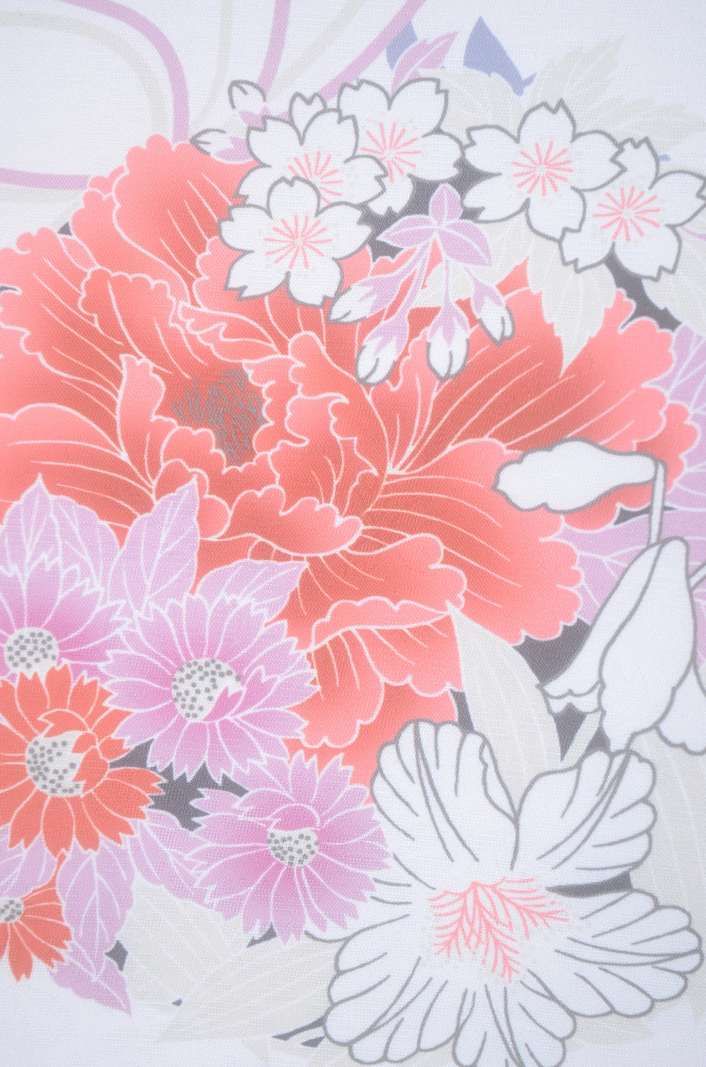 Long-sleeved kimono & hakama 5 items set / Furisode / FK#2-310