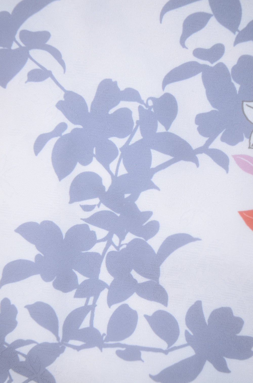 Long-sleeved kimono & hakama 5 items set / Furisode / FK#2-310