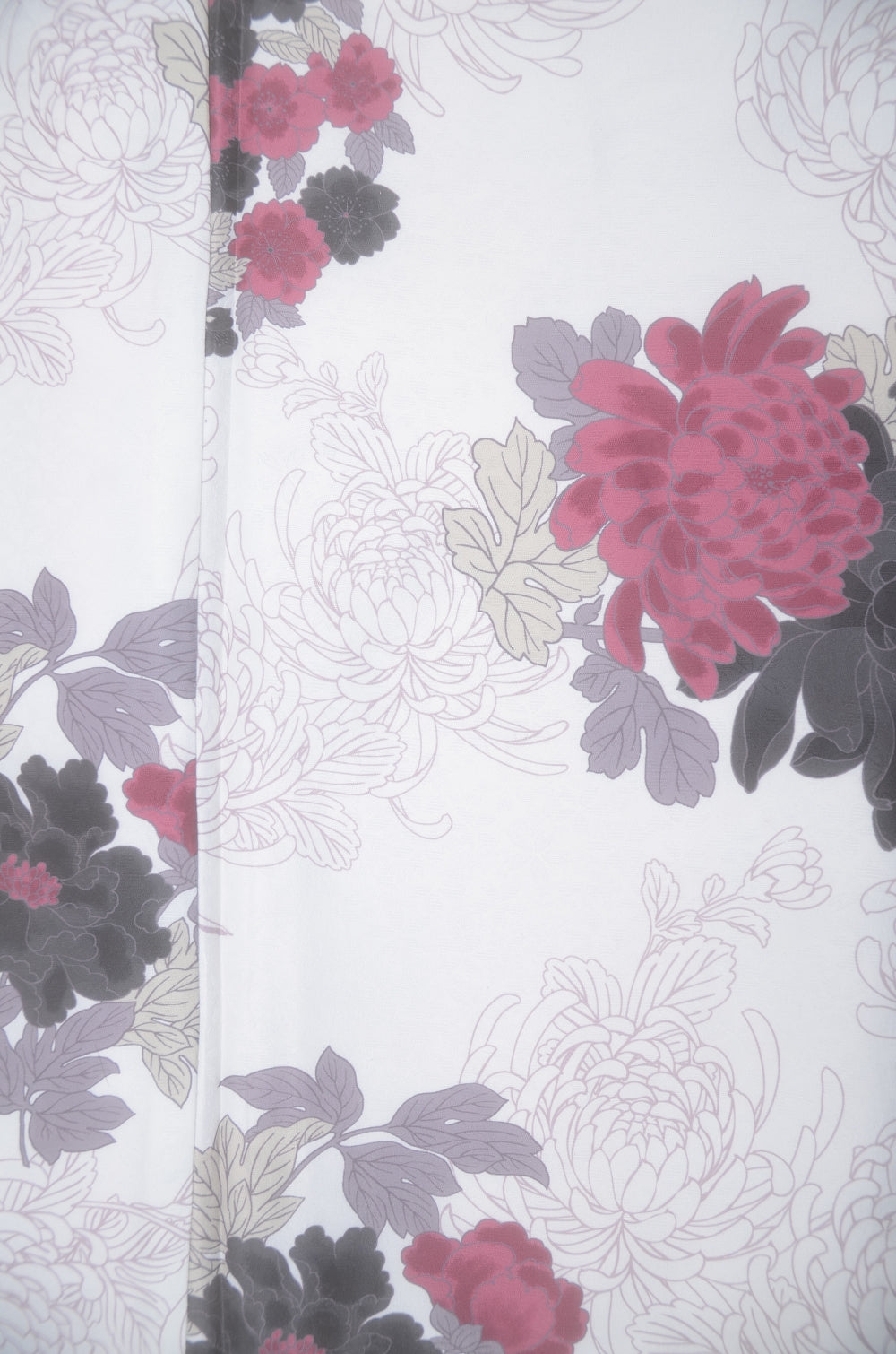 Long-sleeved kimono & hakama 5 items set / Furisode / FK#2-311