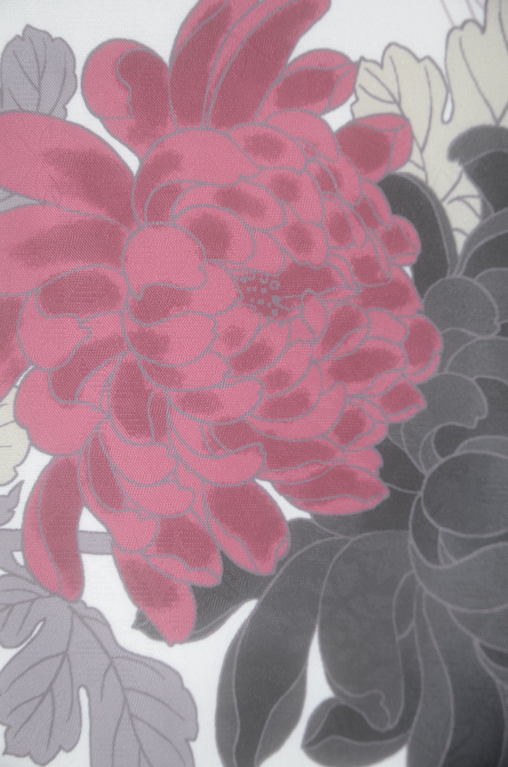 Long-sleeved kimono & hakama 5 items set / Furisode / FK#2-311