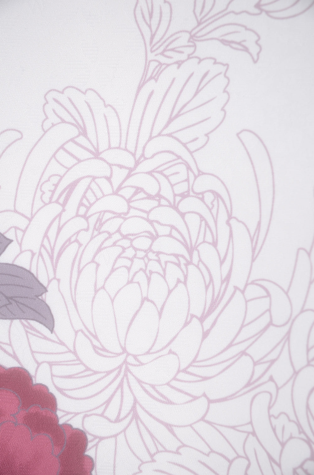 Long-sleeved kimono & hakama 5 items set / Furisode / FK#2-311