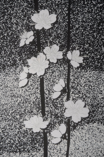 Japanese kimono / TK #2-243