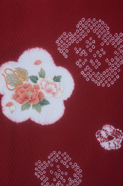 Long-sleeved kimono / Furisode / FK#2-239