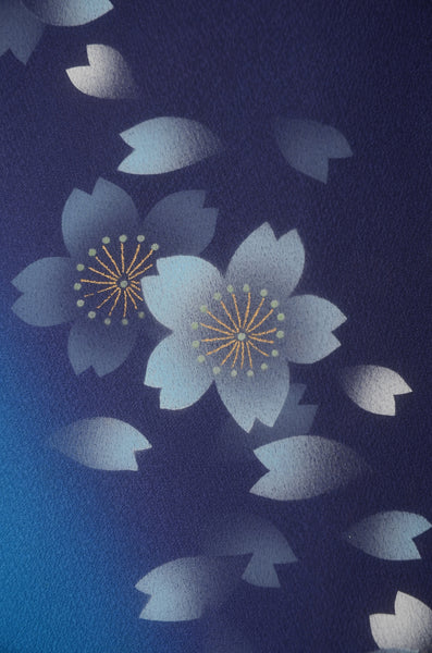 Long-sleeved kimono 6 items set / Furisode / FK#2-242