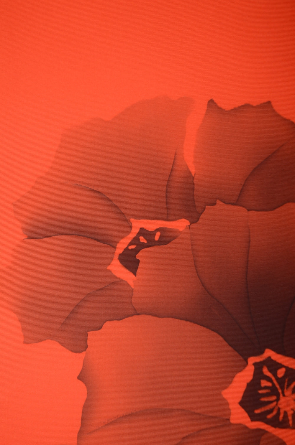 Nagoya Obi belt / N-TO #23