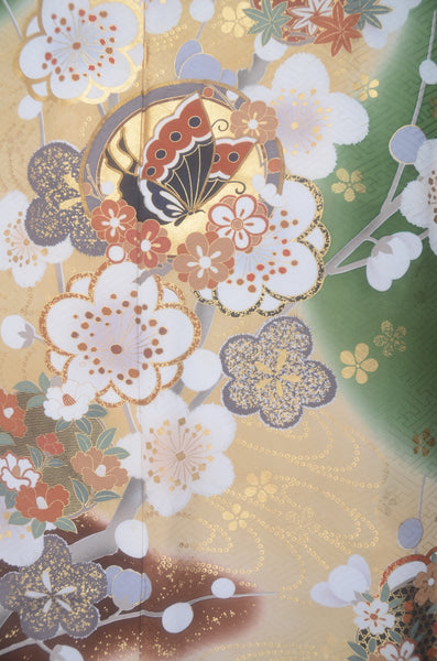 Long-sleeved kimono 6 items set / Furisode / FK#2-258