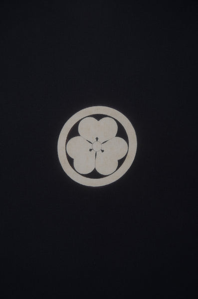 Jacket, kimono, hakama set / JKH #1-458