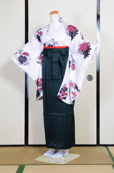 Long-sleeved kimono & hakama 5 items set / Furisode / FK#2-311