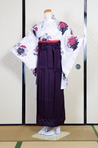 Long-sleeved kimono & hakama 5 items set / Furisode / FK#2-311
