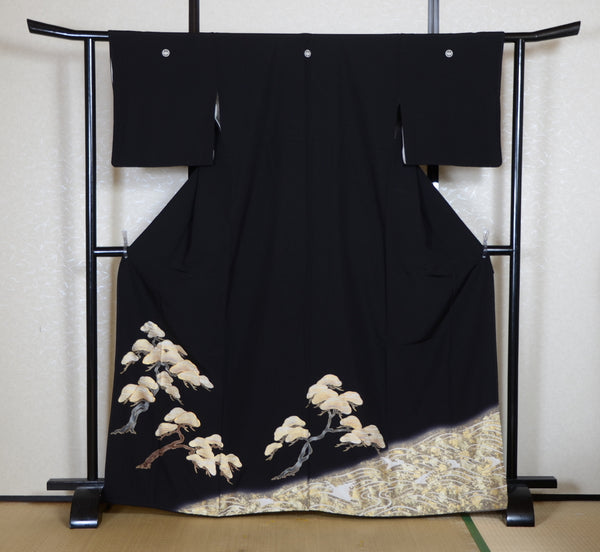 Japanese kimono 6 items set / BK#909