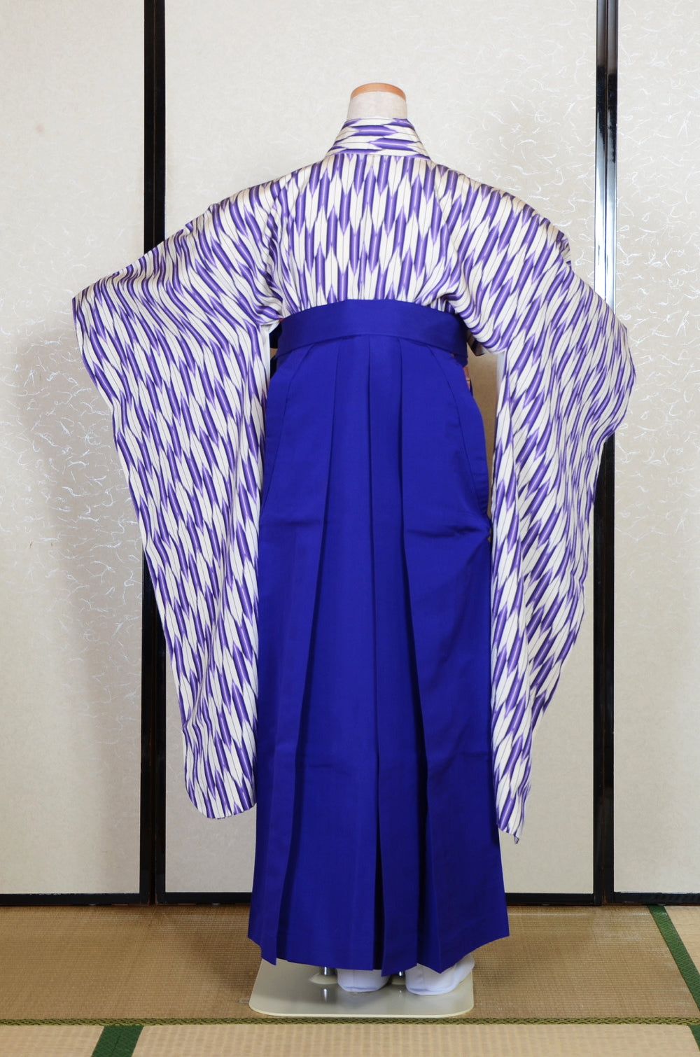 Long-sleeved kimono & hakama 5 items set / Furisode / FK#2-277