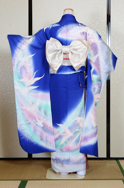Long-sleeved kimono 6 items set / Furisode / FK#2-250