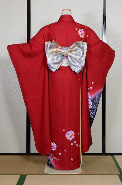 Long-sleeved kimono 6 items set / Furisode / FK#2-169