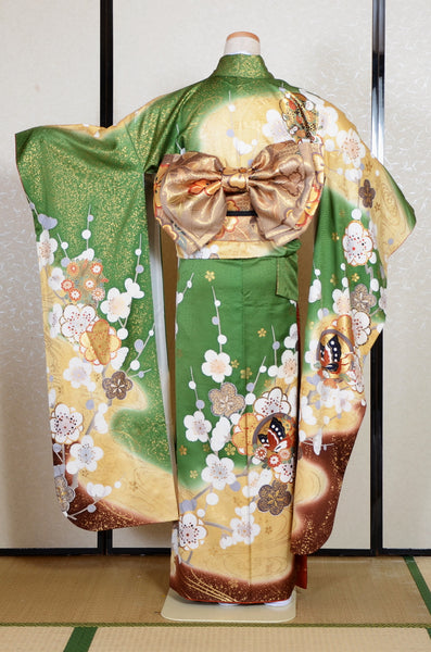 Long-sleeved kimono 6 items set / Furisode / FK#2-258