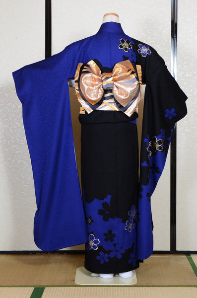 Long-sleeved kimono 6 items set / Furisode / FK#2-291