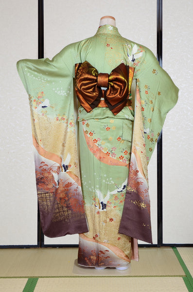 Long-sleeved kimono 6 items set / Furisode / FK#2-341