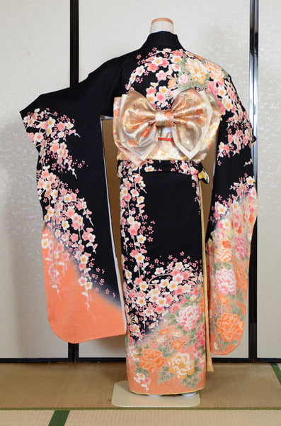 Long-sleeved kimono 6 items set / Furisode / FK#2-284