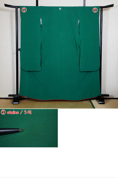 Long-sleeved kimono / Furisode / FK#2-271