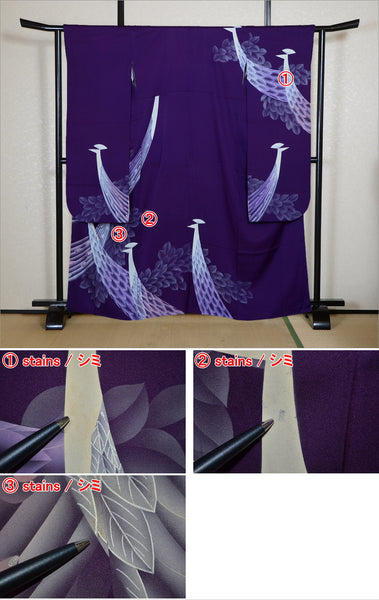 Long-sleeved kimono / Furisode / FK#2-371