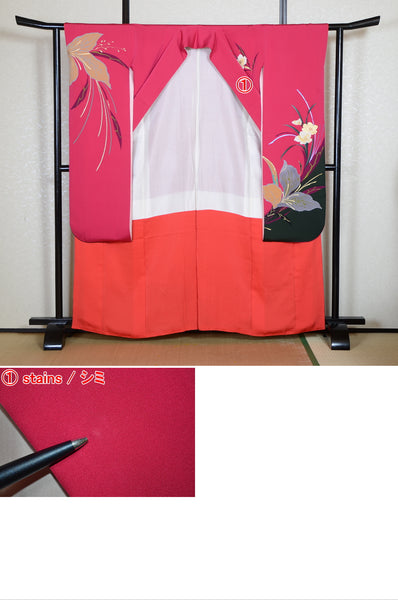 Long-sleeved kimono 6 items set / Furisode / FK#2-069