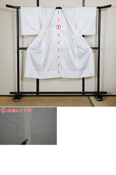 Women Undergarment / UF #823