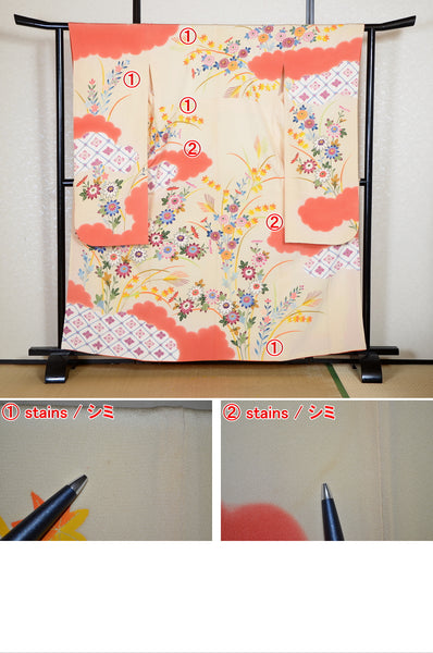 Long-sleeved kimono / Furisode / FK#2-078