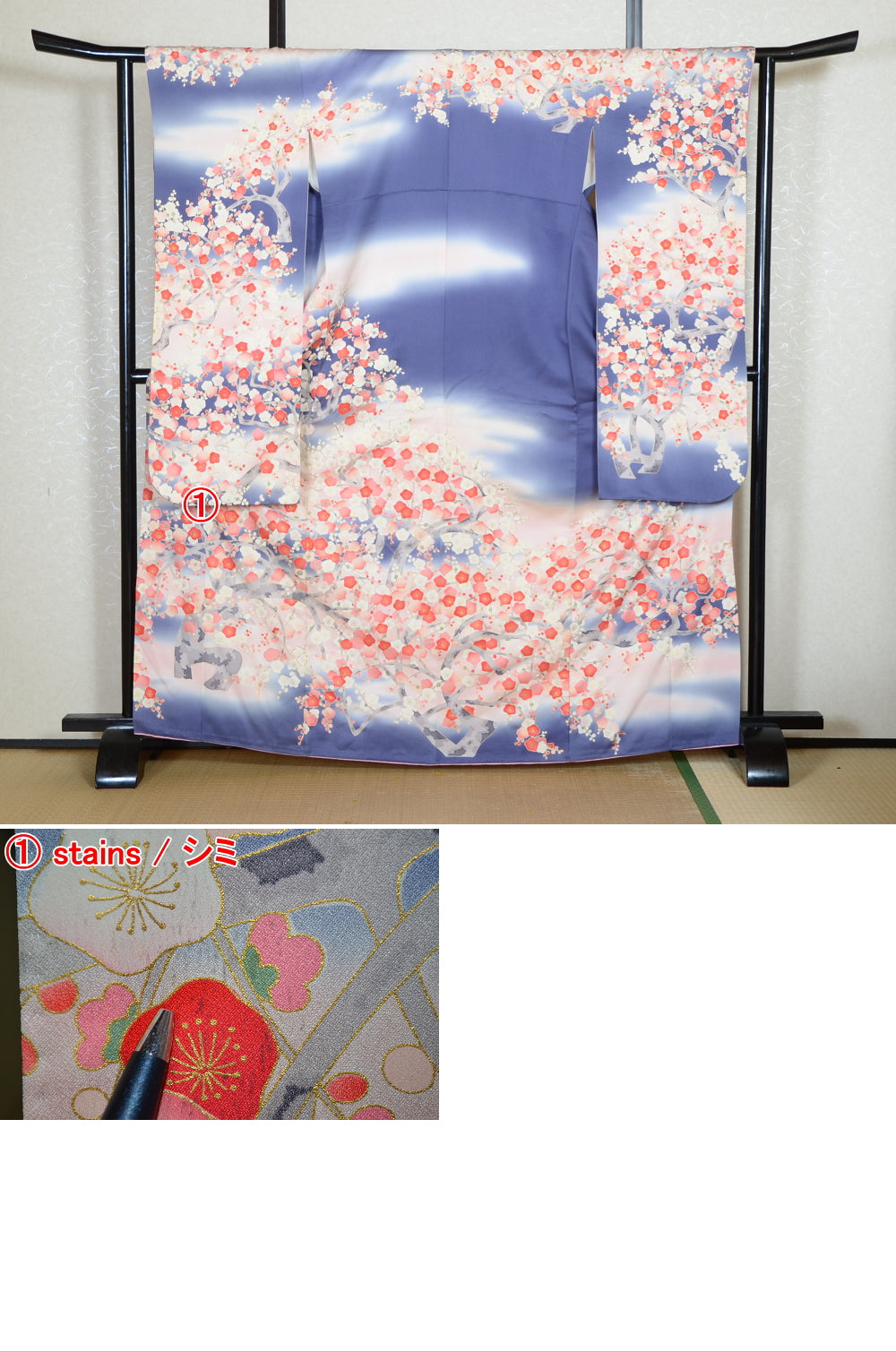 Long-sleeved kimono 6 items set / Furisode / FK#2-158