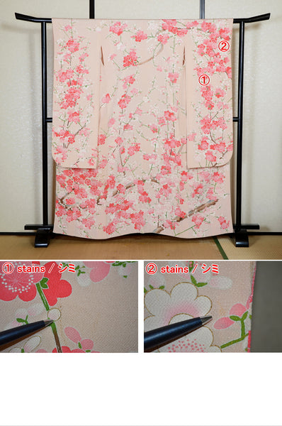 Long-sleeved kimono / Furisode / FK#2-358