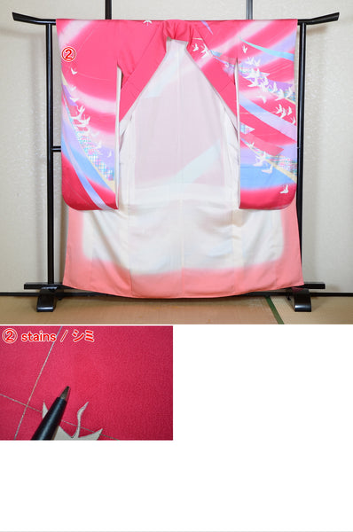 Long-sleeved kimono 6 items set / Furisode / FK#2-301