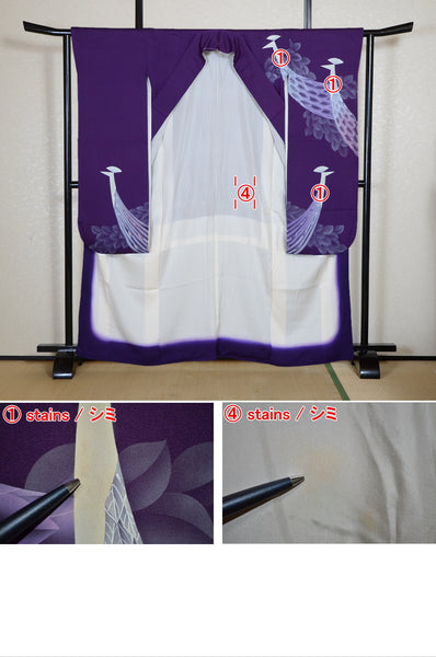 Long-sleeved kimono / Furisode / FK#2-371