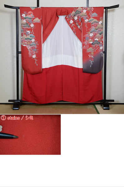 Long-sleeved kimono 6 items set / Furisode / FK#2-305