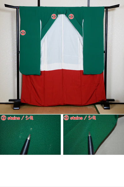 Long-sleeved kimono / Furisode / FK#2-271