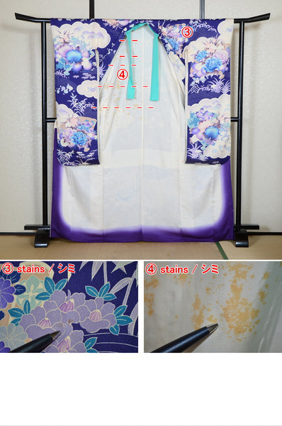 Long-sleeved kimono / Furisode / FK#2-368