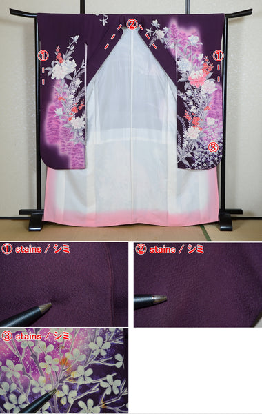 Long-sleeved kimono 6 items set / Furisode / FK#2-244