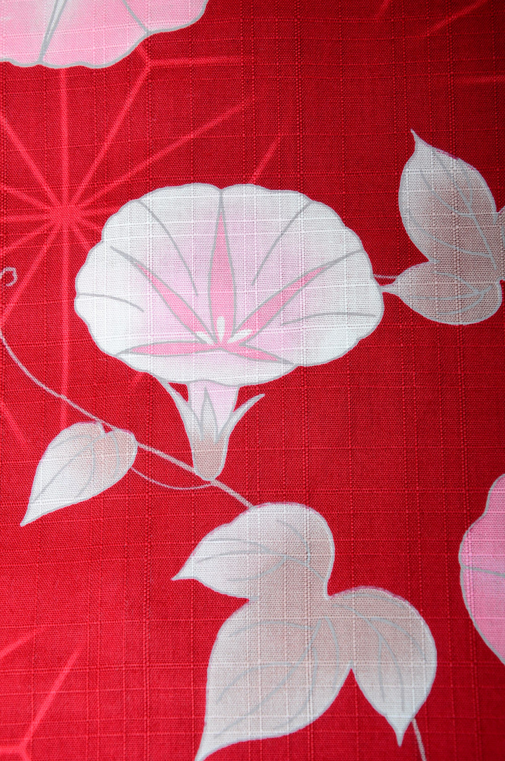 Yukata for indoor use / asagao :YB1556-B Red