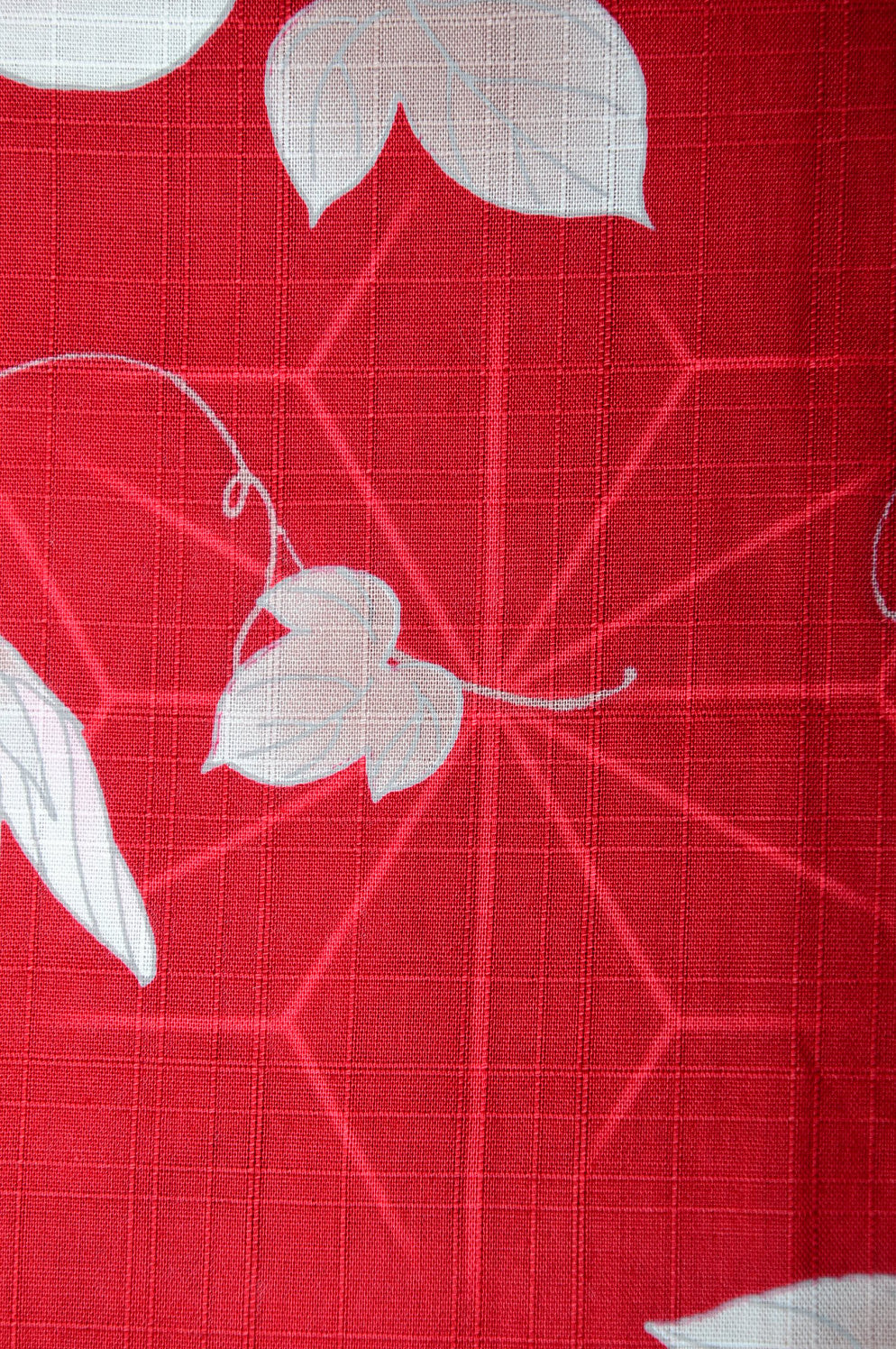 Yukata for indoor use / asagao :YB1556-B Red