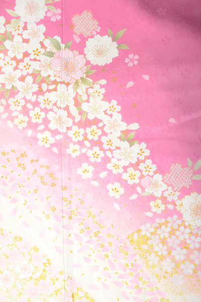 Long-sleeved kimono 6 items set / Furisode / FK#1-385