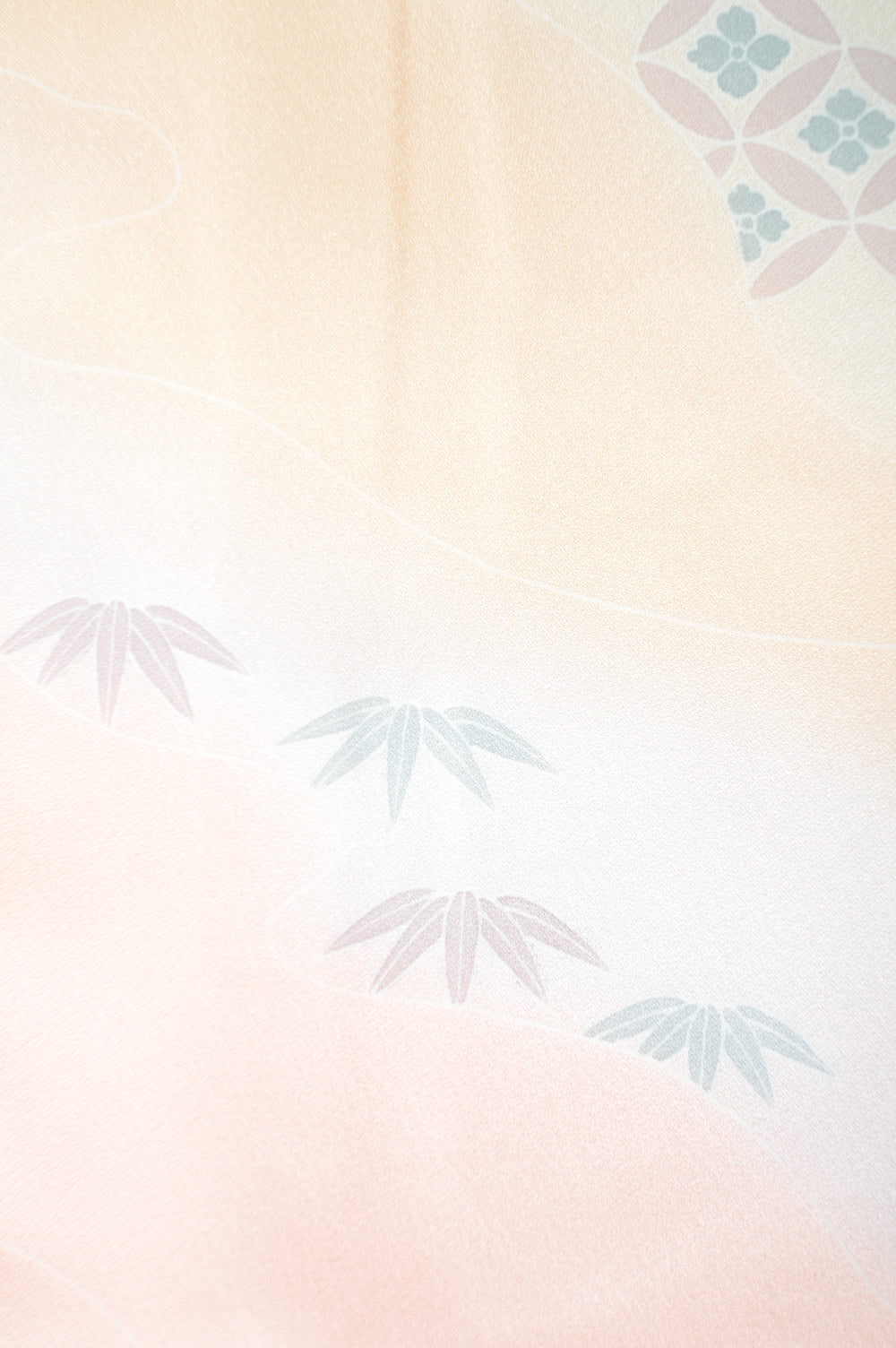 Japanese kimono / TK #1-754