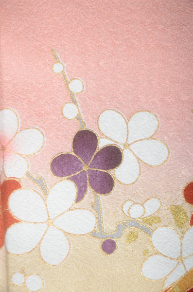 Long-sleeved kimono 6 items set / Furisode / FK#1-845