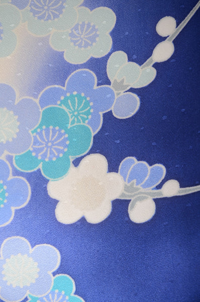 Long-sleeved kimono 6 items set / Furisode / FK#1-847