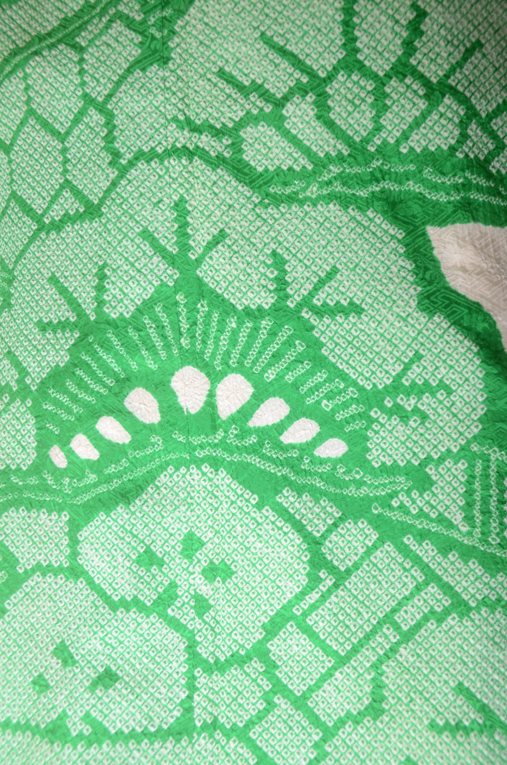 Long-sleeved kimono 6 items set / Furisode / FK#1-744