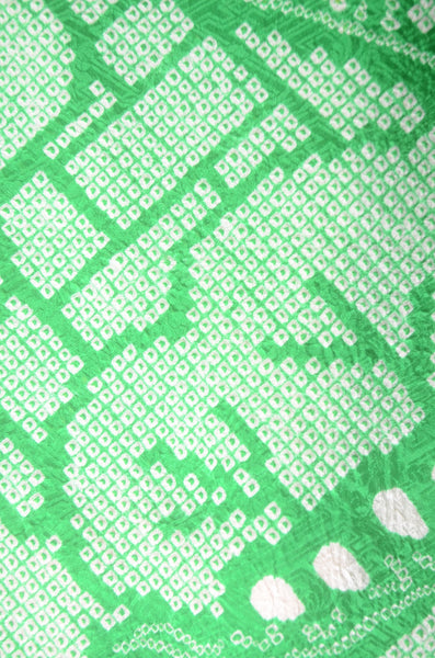 Long-sleeved kimono 6 items set / Furisode / FK#1-744