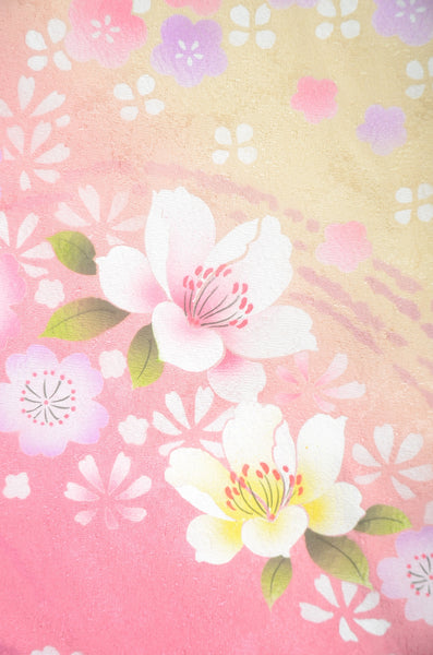 Long-sleeved kimono 6 items set / Furisode / FK#1-748