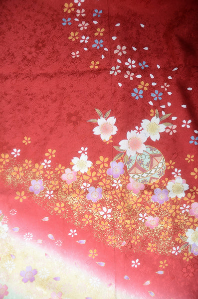 Long-sleeved kimono 6 items set / Furisode / FK#1-761