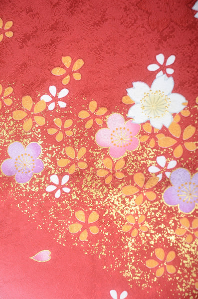 Long-sleeved kimono 6 items set / Furisode / FK#1-761