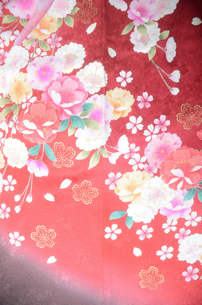 Long-sleeved kimono 6 items set / Furisode / FK#1-574