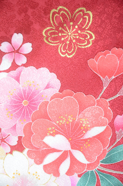 Long-sleeved kimono 6 items set / Furisode / FK#1-574