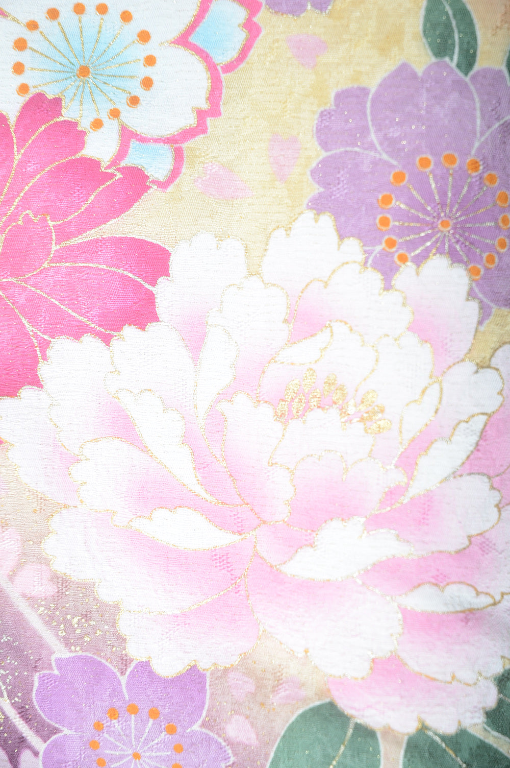 Long-sleeved kimono 6 items set / Furisode / FK#1-579