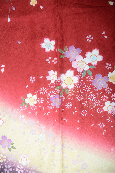 Long-sleeved kimono 6 items set / Furisode / FK#1-579