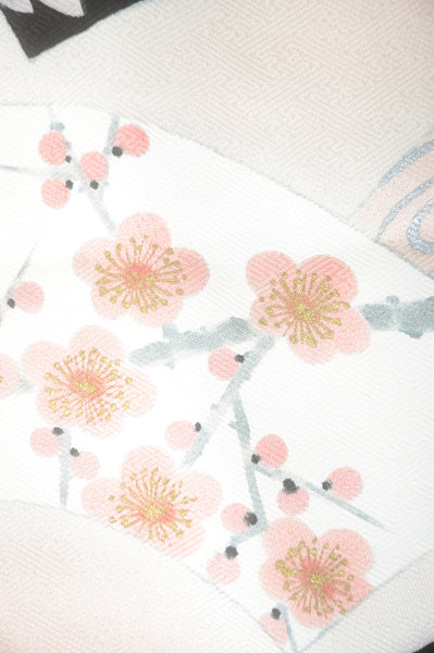 Japanese kimono 6 items set / TK #1-861